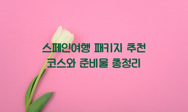 스페인여행 패키지 추천 코스 준비물