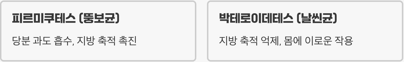 뚱보균 vs 날씬균, 내 장 속의 전쟁