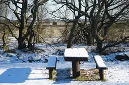 온열질환 예방 건강보조제