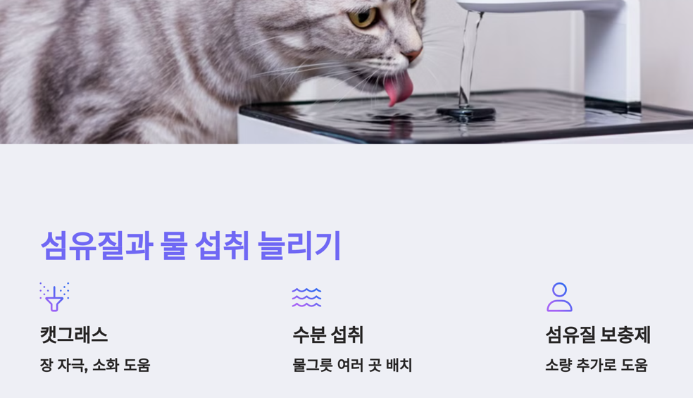 섬유질과 물 섭취 늘리기