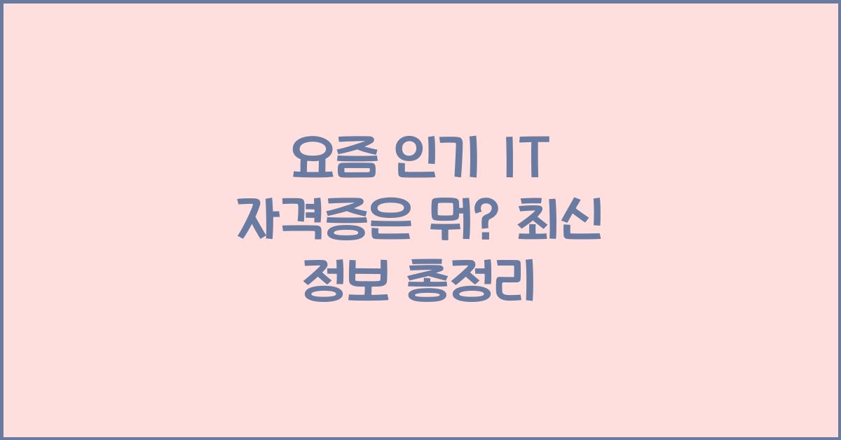 요즘 인기 IT 자격증은 뭐?