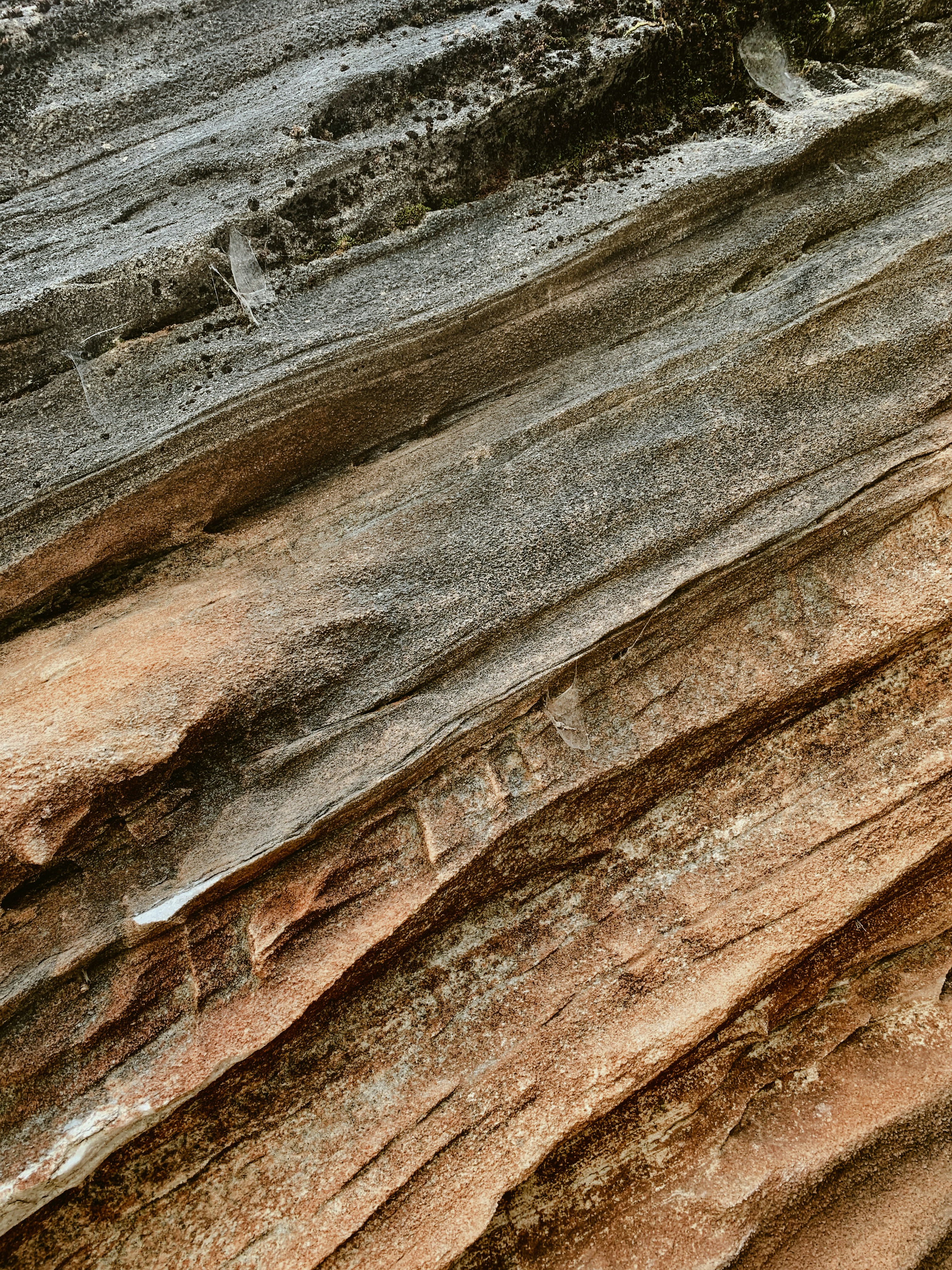 닌텐도 스위치2 사전예약 가격 응모 출시일