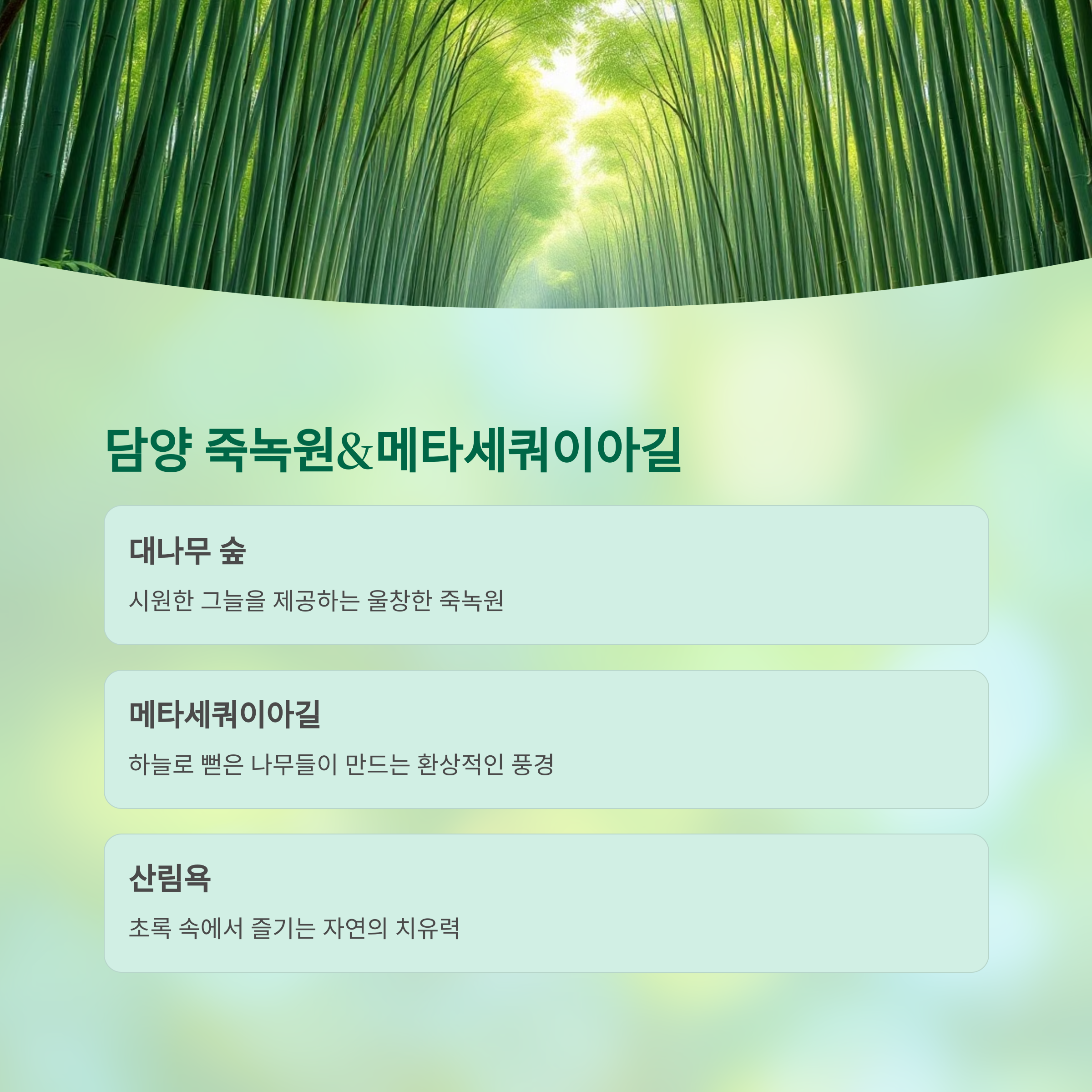 6월 인기 국내 여행지 추천 리스트