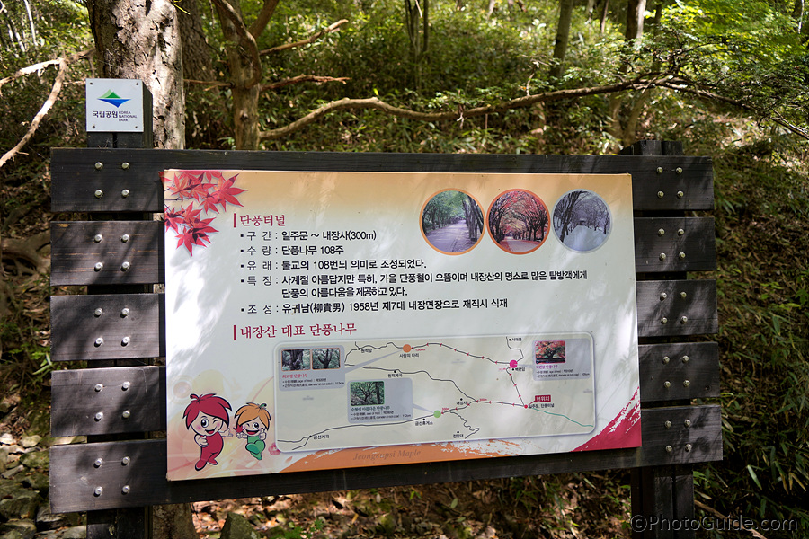내장산-단풍