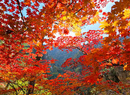 북한산 단풍 명소 베스트코스