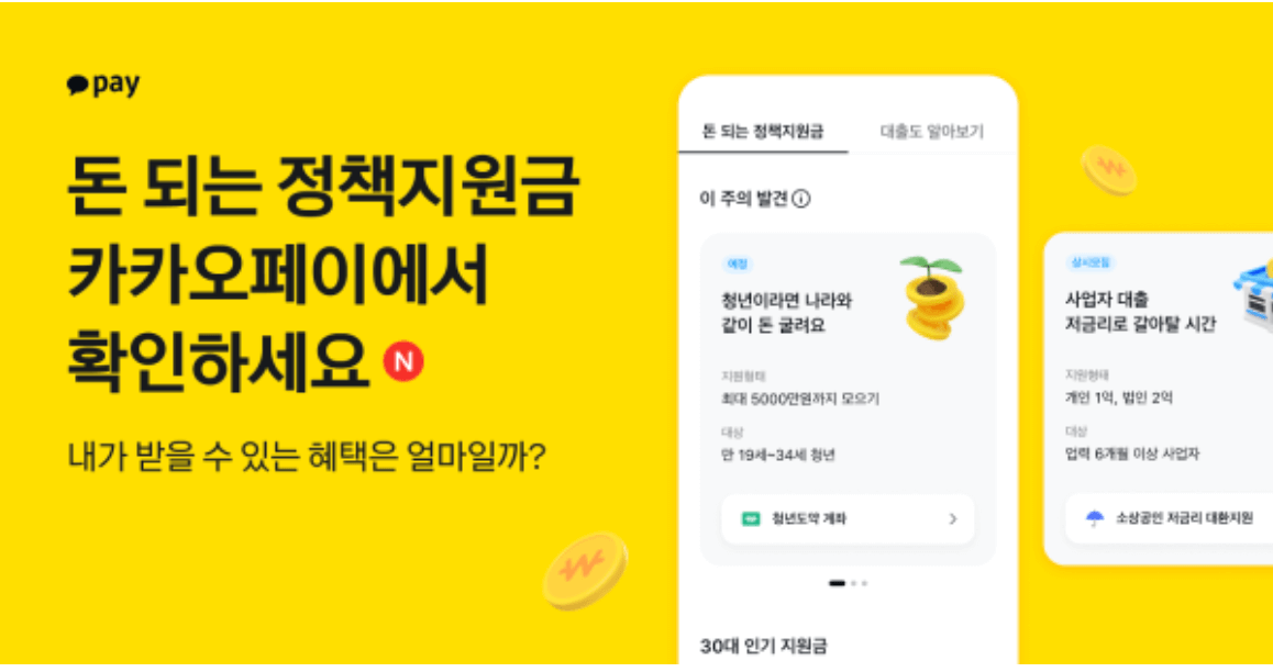카카오페이 돈되는 정책지원금