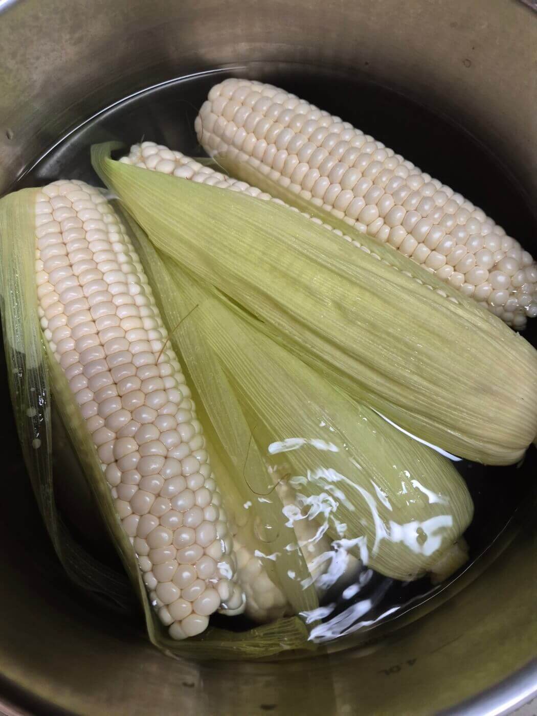 옥수수 삶는 법 시간 뉴슈가 및 보관방법 