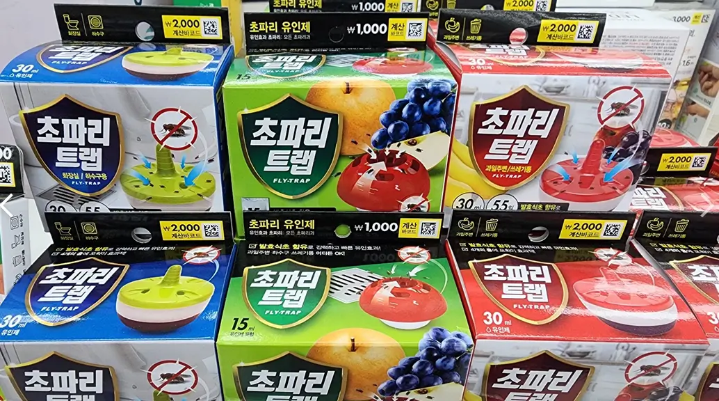 다이소-초파리트랩-여러-종류
