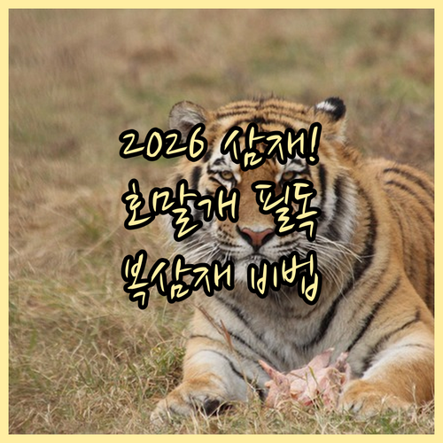 2026년 삼재 띠 확인 호랑이띠 말..