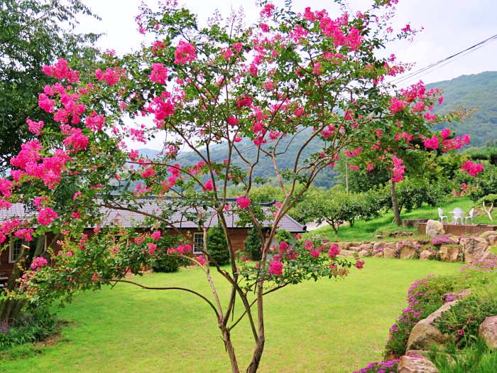 6시내고향 구례 지리산 팜스테이 산나물 밥상 맛집