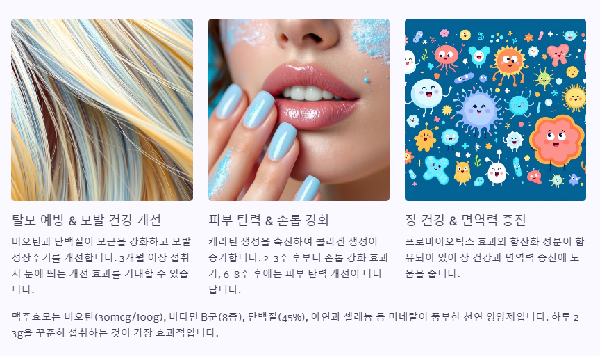 맥주효모 비오틴 효과