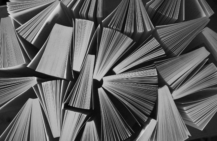 독서 변화 사진