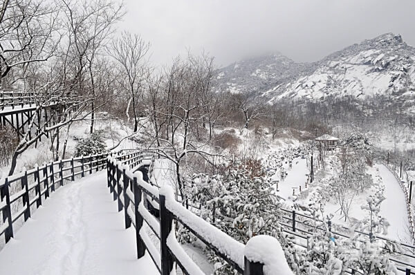 산림청 명품숲길 겨울 트레킹 : 서울 안산 순환형 무장애 자락길