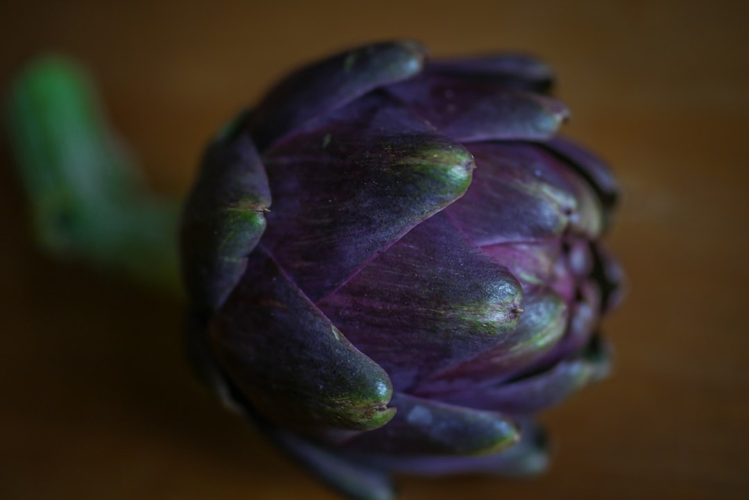 Artichoke