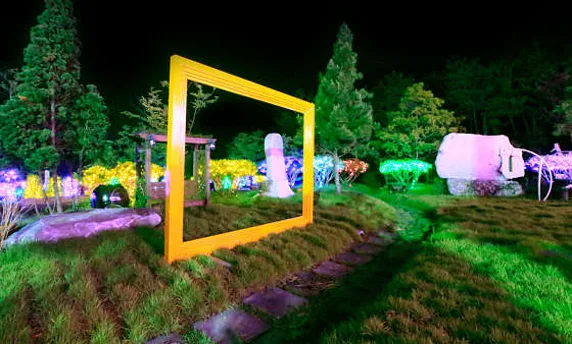 숲속애빛의정원