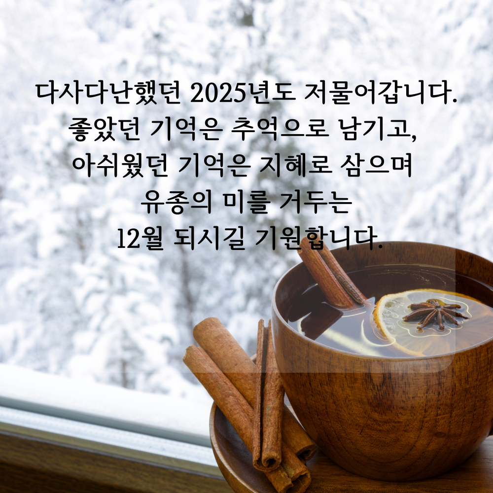 2025년 12월 인사말 문구 이미지 모음 글귀