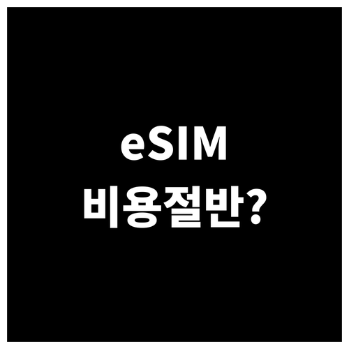 알뜰폰 eSIM 요금제 비교 및 장점..
