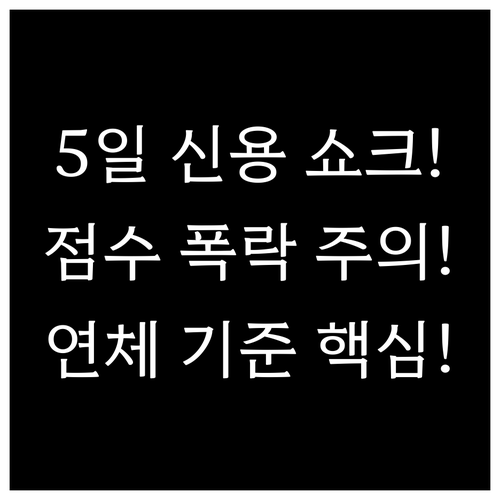5영업일 만에 신용 점수 하락! 신용..