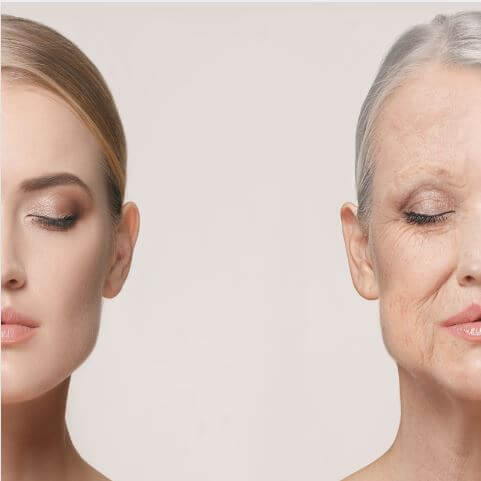 노화, 콜라겐 관련 이미지