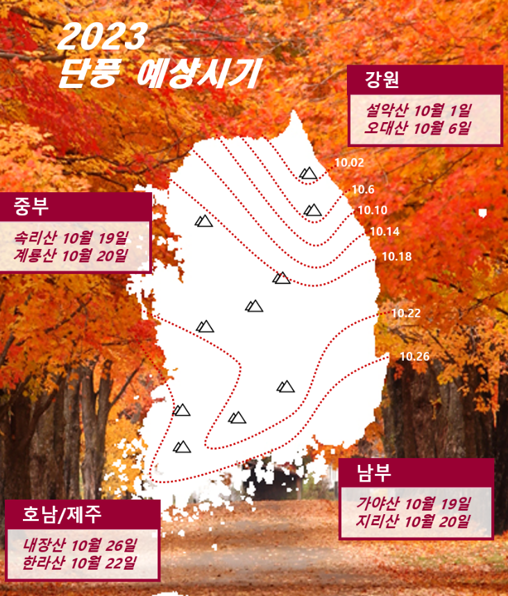 단풍예상시기