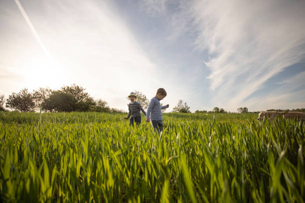 &ldquo;1인 농업 창업 준비일지 21편 - 아이들과 함께 만든 새 작물 재배 계획표 &ndash; 우리가 다음 계절을 준비하는 방식"