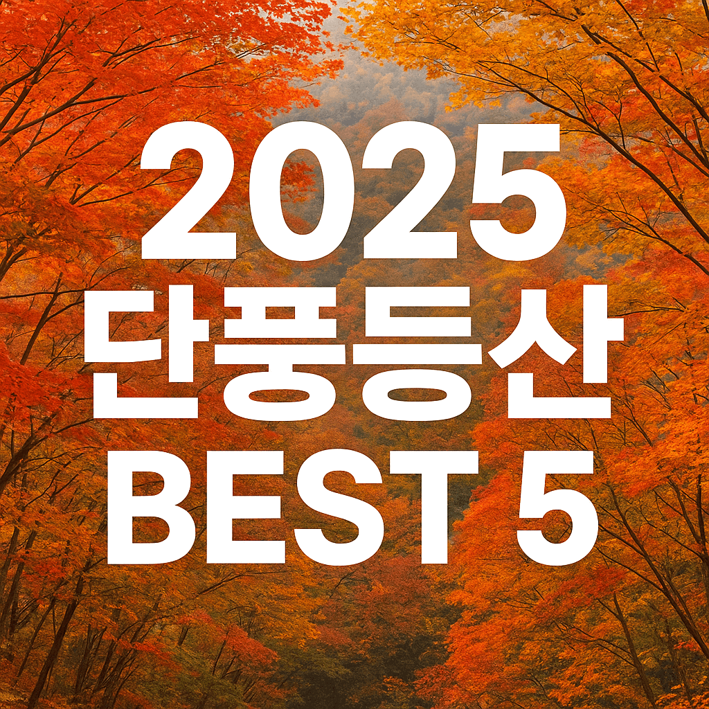 2025년 단풍등산 코스추천