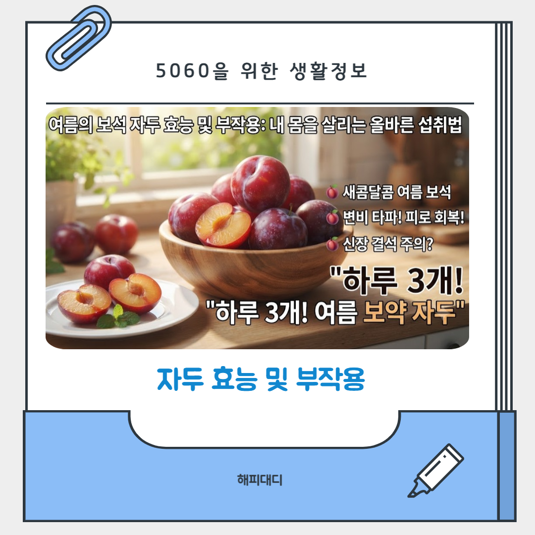 자두 효능 및 부작용