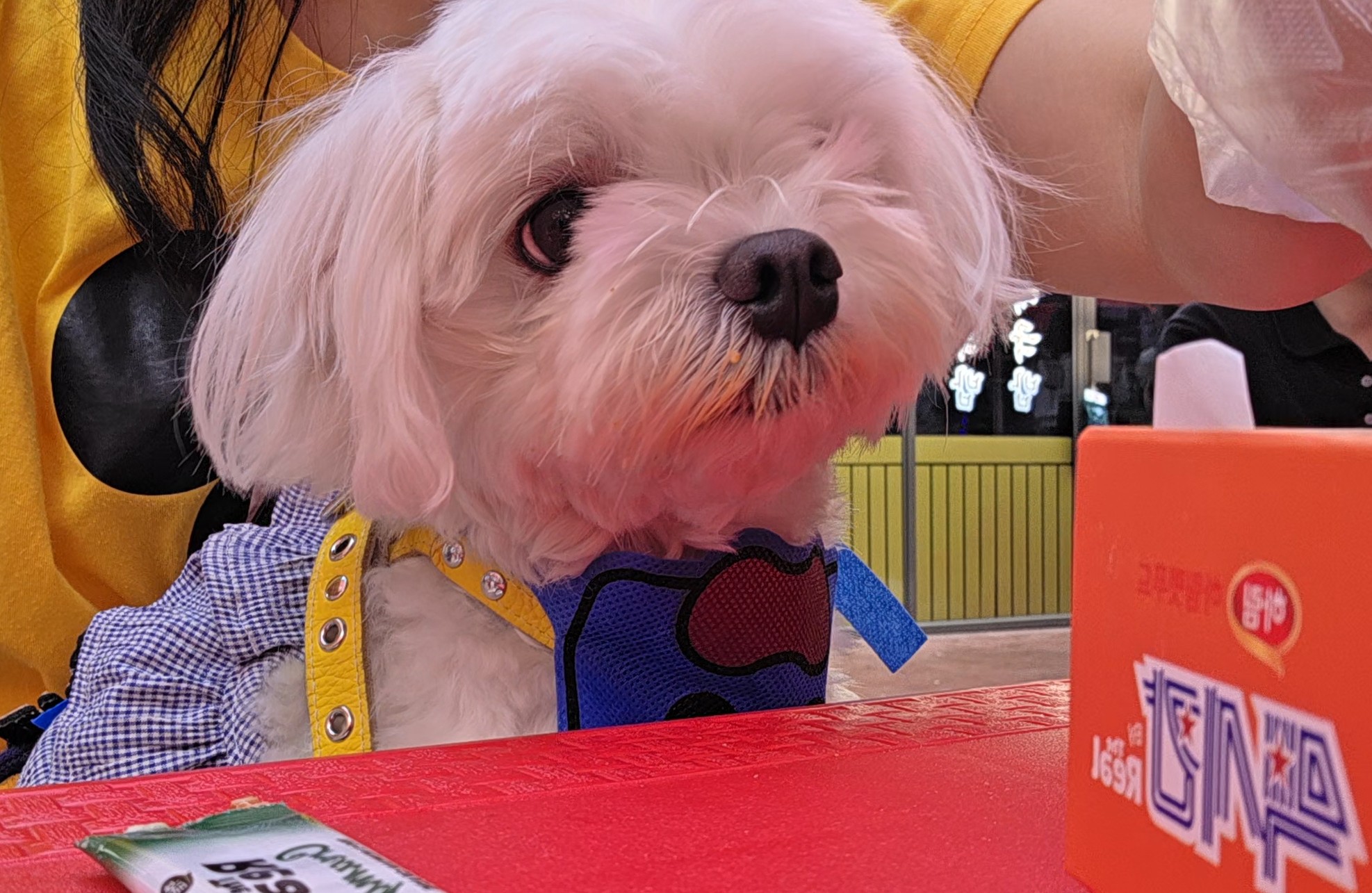 치킨 간식 기다리는 라떼