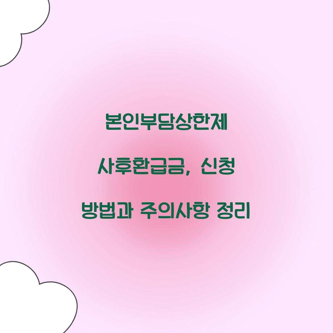 본인부담상한제 사후환급금