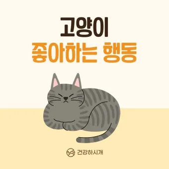 고양이 행동 분석 교정 언어 의미_4