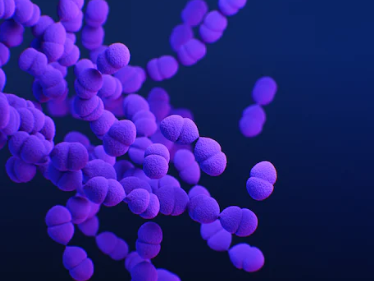 중국 폐렴에 대하여 알아보기