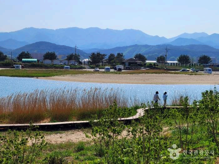 바다 옆 산책길에 두 여인이 걸어가고 있다.