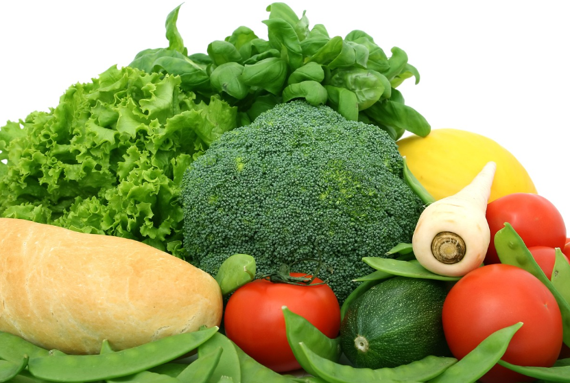 봄철 인기 채소 BEST 10! 누구나 쉽게 키울 수 있는 추천 작물