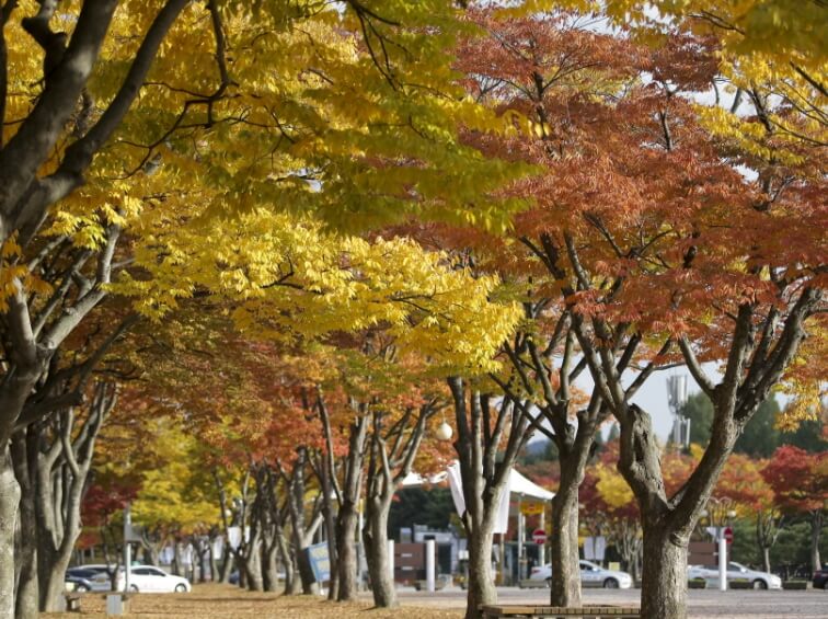 천안 가볼만한곳 베스트 10