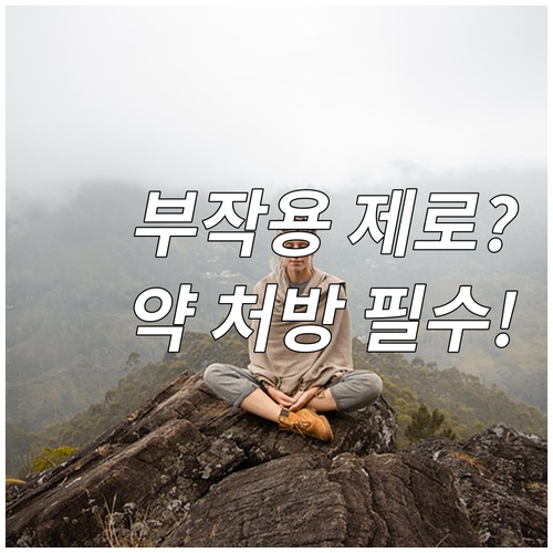 부작용 없는 다이어트 약 처방을 위한..