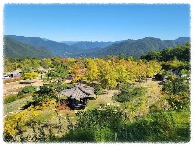 동강전망자연휴양림