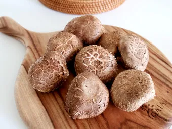 표고버섯 효능_2