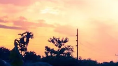 고객번호 조회방법