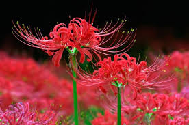 9월 국내여행지 베스트10 추천