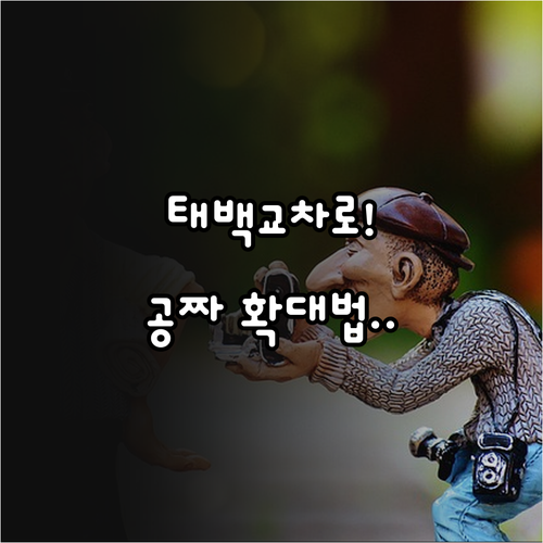 태백 교차로 종이 신문 그대로보기 무..