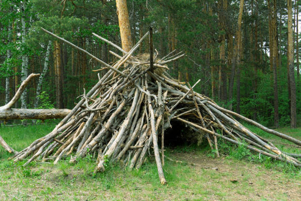 바닷가에서 사용할 수 있는 모래·조개·해초 쉼터 구축법