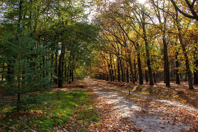 내가 실제로 가본 부천시 오정구 숨은 명소 5곳