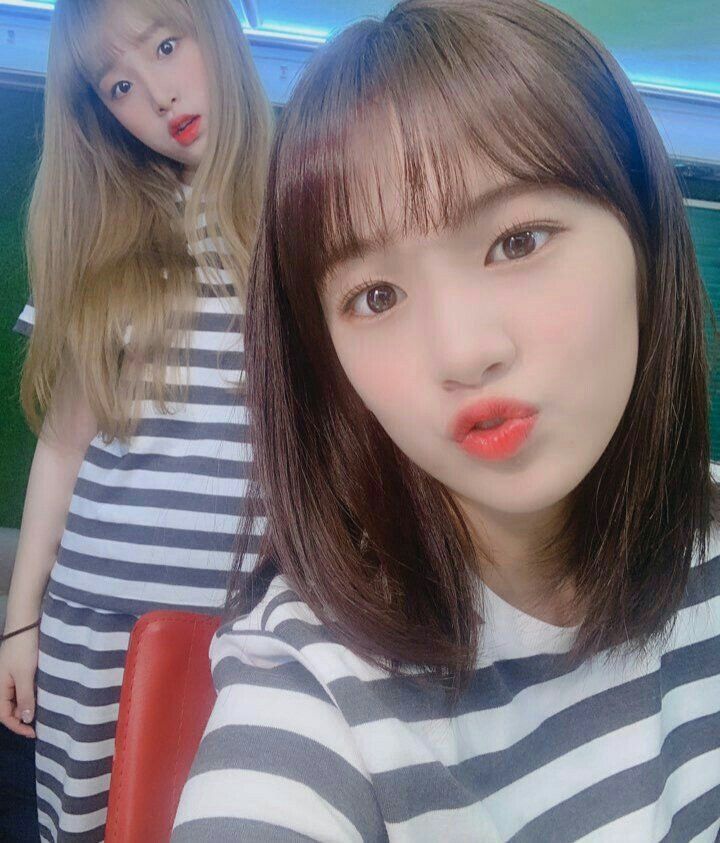 아이즈원 프로듀스48 사진 모음 아이즈원 프로듀스48 사진 모음