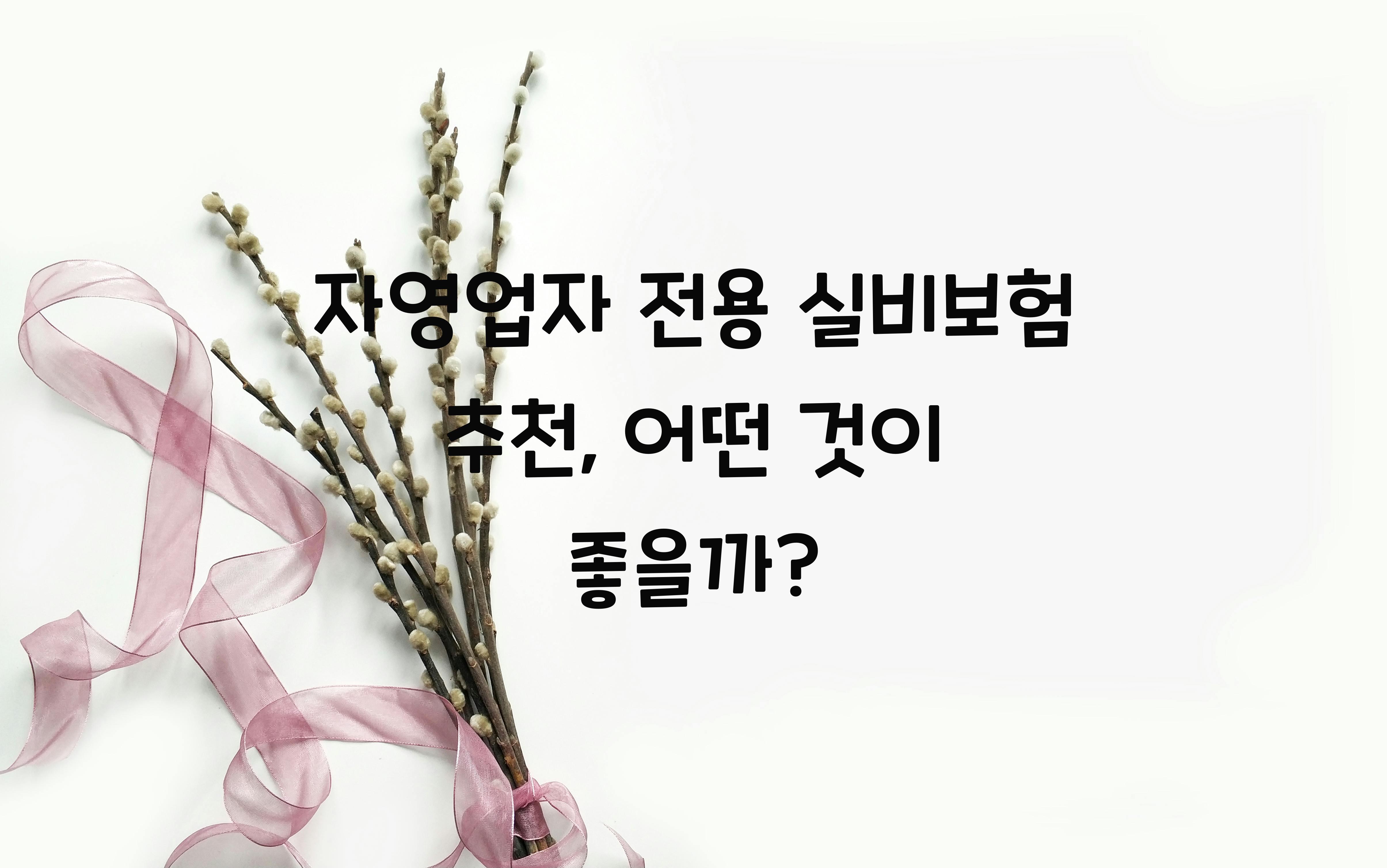자영업자 전용 실비보험 추천