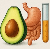 아보카도 효능
