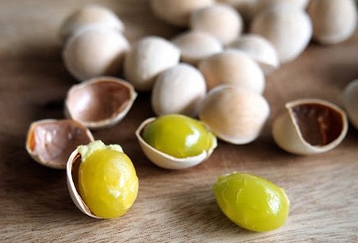 은행 많이 먹으면 생기는 부작용, 은행의 놀라운 효능, 하루 적정 섭취량, 좋은 은행 고르는 법