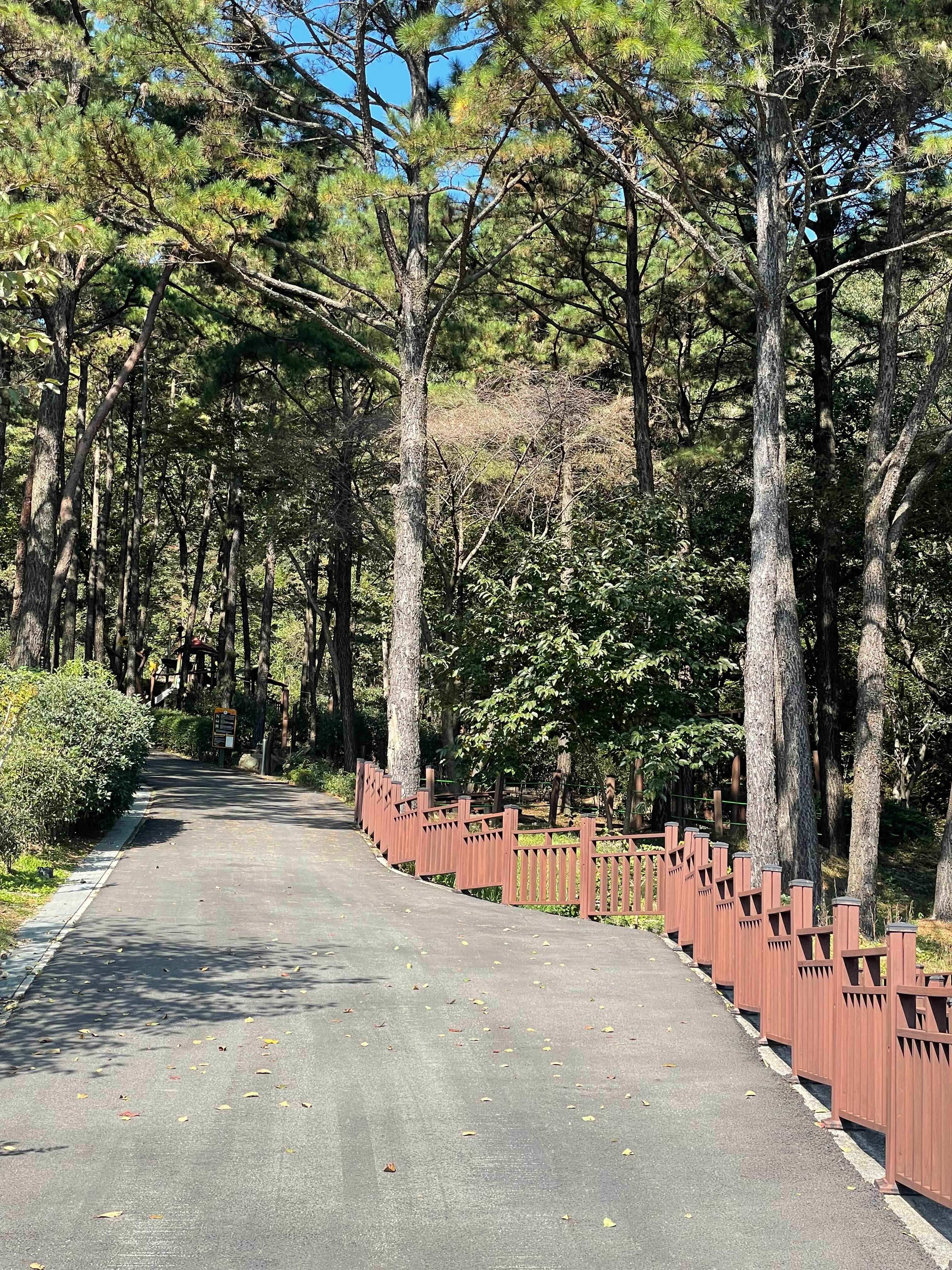 백운산 치유의 숲 추천! 힐링과 체험 예약 방법 정리