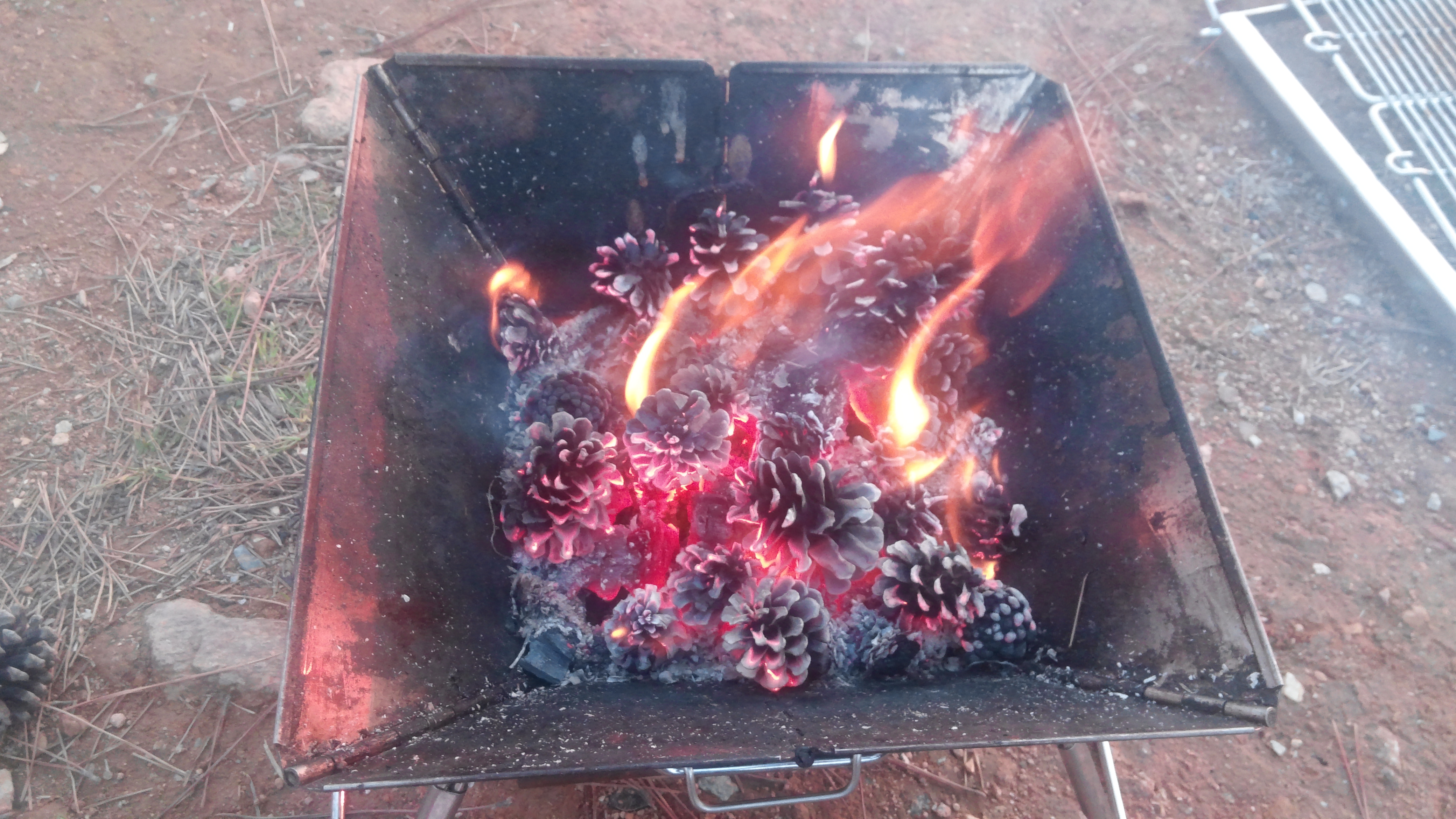 활활 타는 솔방울 캠프파이어