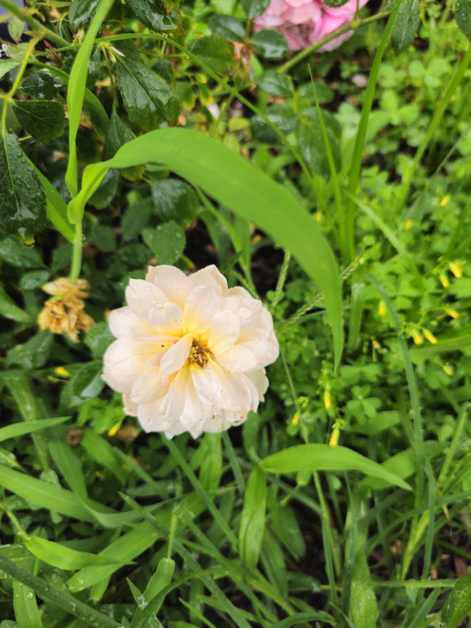 챗GPT 장단점 (생산성, 정확성, 윤리성)