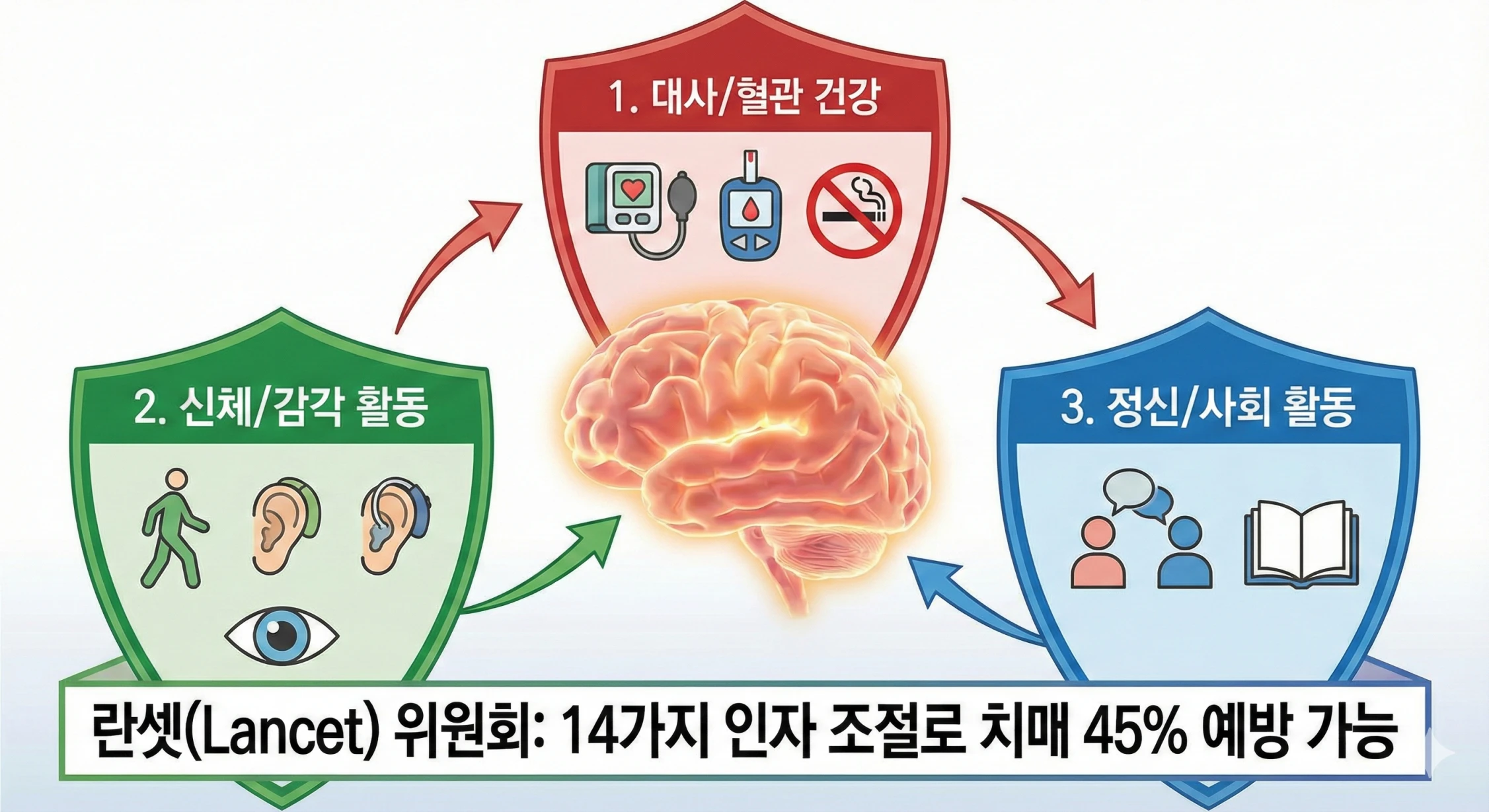 중앙에 빛나는 뇌 일러스트가 있고, 이를 세 개의 방패(빨강, 초록, 파랑)가 감싸는 형태의 인포그래픽. 각 방패에는 '대사/혈관 건강', '신체/감각 활동', '정신/사회 활동'이라는 타이틀 아래 관련 아이콘들이(혈압계, 운동화, 대화하는 사람 등) 표시되어 있으며, 하단에는 '란셋(Lancet) 위원회: 14가지 인자 조절로 치매 45% 예방 가능'이라는 문구가 강조됨.